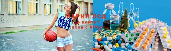 твердый Аркадак