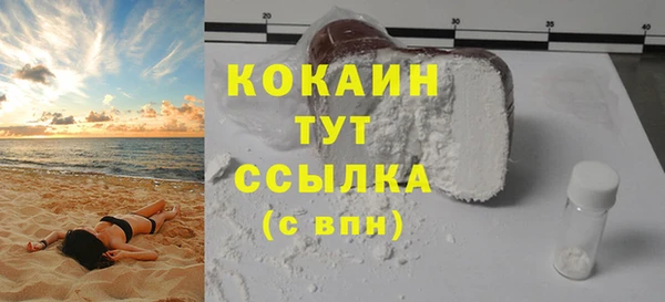 твердый Аркадак