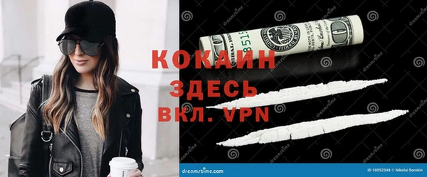 стафф Арсеньев