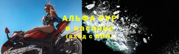 стафф Арсеньев