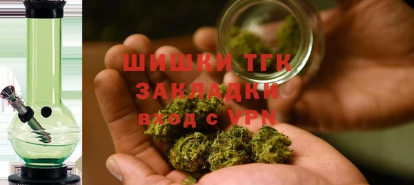 стафф Арсеньев
