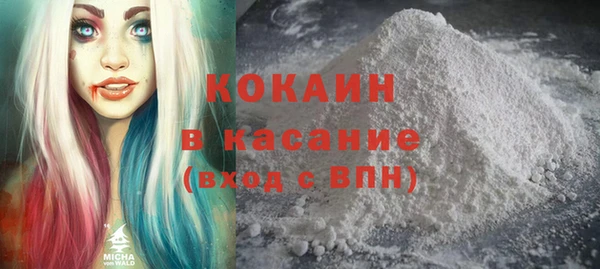 твердый Аркадак