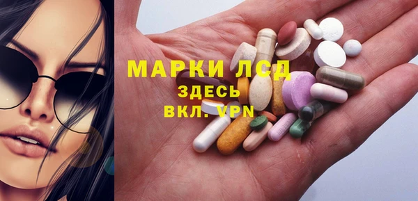 стафф Арсеньев