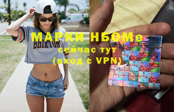 стафф Арсеньев