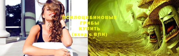 твердый Аркадак